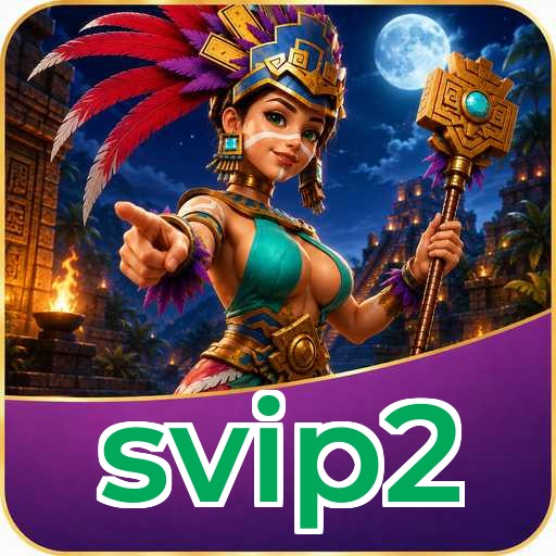svip2 APK Structure